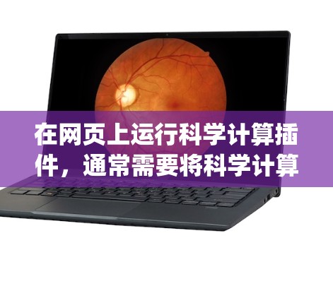 在网页上运行科学计算插件,通常需要将科学计算工具集成到网页框架中,比如HTML、JavaScript或者CSS。以下是一些可能的步骤和方法