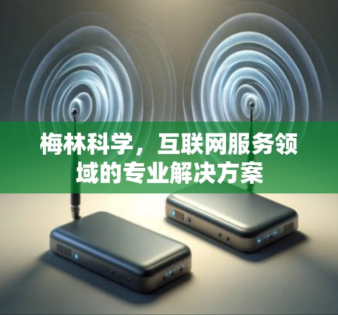 梅林科学,互联网服务领域的专业解决方案