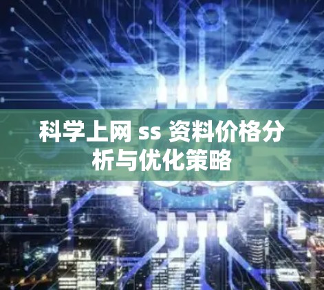 科学上网 ss 资料价格分析与优化策略