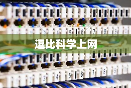 逗比科学上网