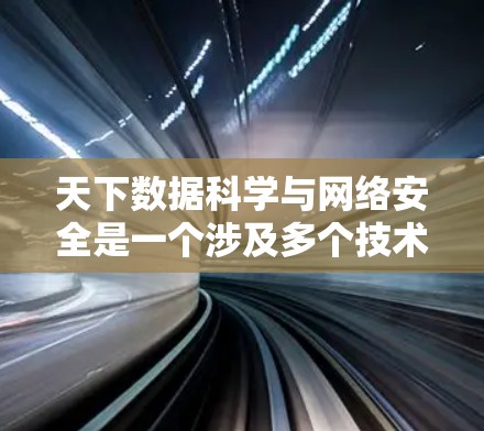 天下数据科学与网络安全是一个涉及多个技术和实践领域的话题，以下是对其核心概念的详细解释