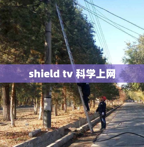 shield tv 科学上网