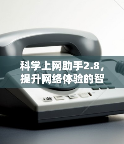 科学上网助手2.8，提升网络体验的智能解决方案