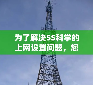 为了解决SS科学的上网设置问题，您可以按照以下步骤进行操作