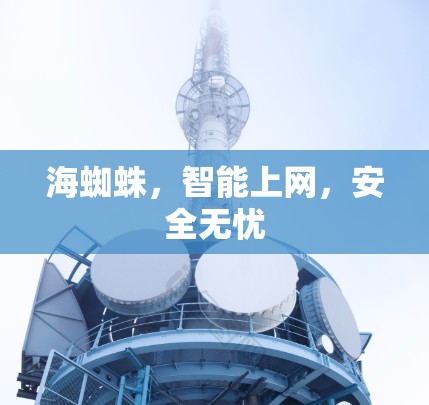 海蜘蛛，智能上网，安全无忧
