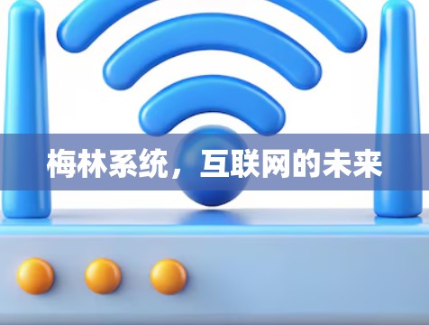 梅林系统，互联网的未来