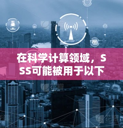 在科学计算领域，SSS可能被用于以下具体应用