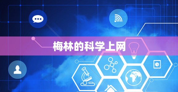 梅林的科学上网