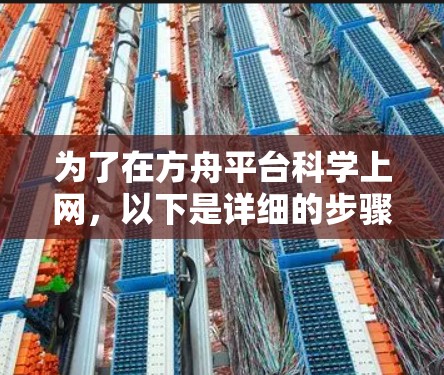 为了在方舟平台科学上网，以下是详细的步骤和建议