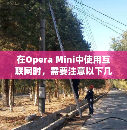 在Opera Mini中使用互联网时，需要注意以下几点和操作步骤，以确保网络连接稳定且高效