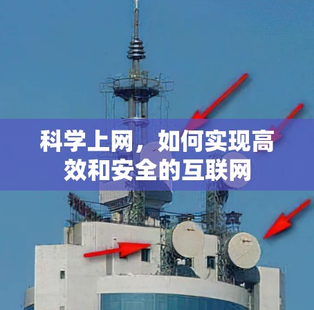 科学上网，如何实现高效和安全的互联网