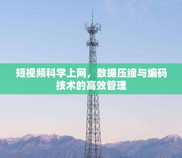 短视频科学上网，数据压缩与编码技术的高效管理