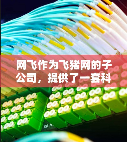 网飞作为飞猪网的子公司,提供了一套科学的互联网解决方案,包括网飞云服务。以下是详细的步骤和信息,帮助你科学上网