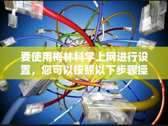 要使用梅林科学上网进行设置，您可以按照以下步骤操作