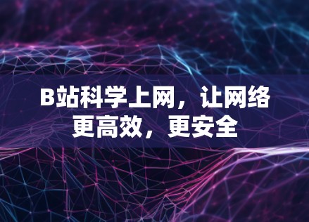 B站<strong>科学上网</strong>，让网络更高效，更安全