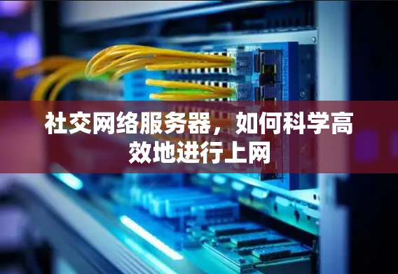 社交网络服务器，如何科学高效地进行上网