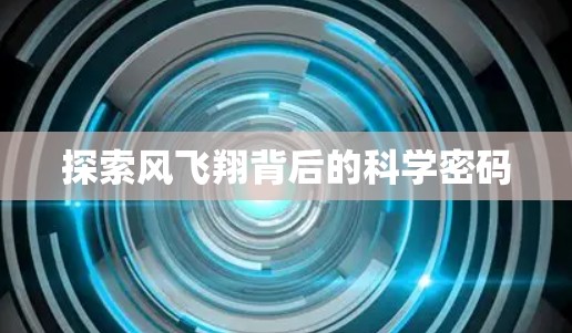 探索风飞翔背后的科学密码