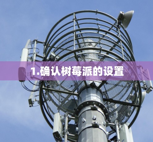 1.确认树莓派的设置 1.确认树莓派的设置