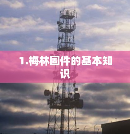 1.梅林固件的基本知识 1.梅林固件的基本知识
