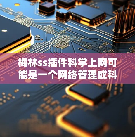 梅林ss插件<strong>科学上网</strong>可能是一个网络管理或科学计算工具的附加插件,用于在科学计算或网络服务环境中提供额外的功能支持。以下是一个可能的解释