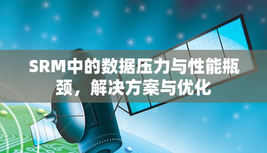 SRM中的数据压力与性能瓶颈,解决方案与优化 SRM中的数据压力与性能瓶颈,解决方案与优化