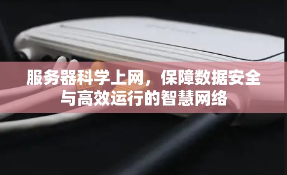 服务器<strong>科学上网</strong>，保障数据安全与高效运行的智慧网络