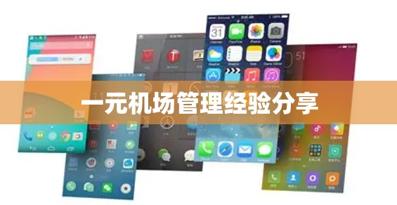 一元机场管理经验分享