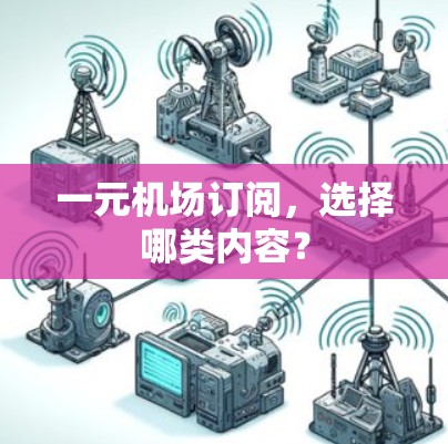 一元机场订阅，选择哪类内容？