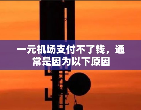 一元机场支付不了钱，通常是因为以下原因