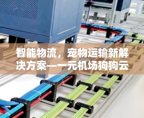 智能物流，宠物运输新解决方案—一元机场狗狗云机场
