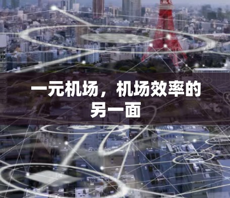 一元机场，机场效率的另一面