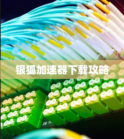 银狐加速器下载攻略