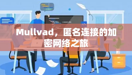 Mullvad,匿名连接的加密网络之旅 Mullvad,匿名连接的加密网络之旅