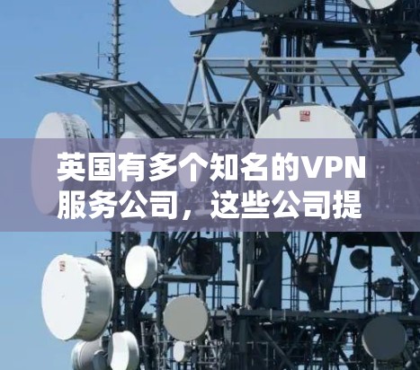英国有多个知名的VPN服务公司，这些公司提供各种类型的VPN服务，包括流媒体、视频会议、加密通信等。以下是一些英国著名的VPN服务公司