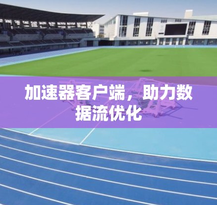 加速器客户端，助力数据流优化