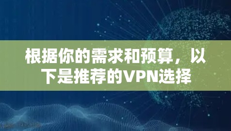根据你的需求和预算，以下是推荐的VPN选择