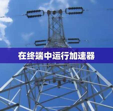 在终端中运行加速器