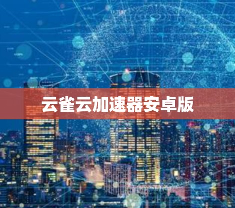 云雀云加速器安卓版 云雀云加速器安卓版