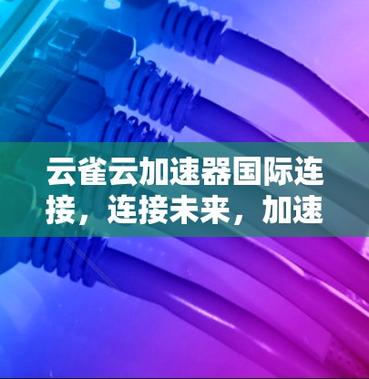 云雀云加速器国际连接，连接未来，加速数据传输