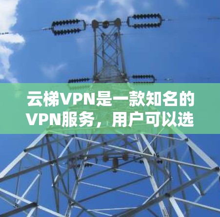 云梯VPN是一款知名的VPN服务，用户可以选择不同的版本来享受不同的功能和体验。以下是云梯VPN的几个主要版本及其特点