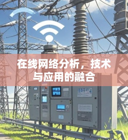 在线网络分析,技术与应用的融合 在线网络分析,技术与应用的融合