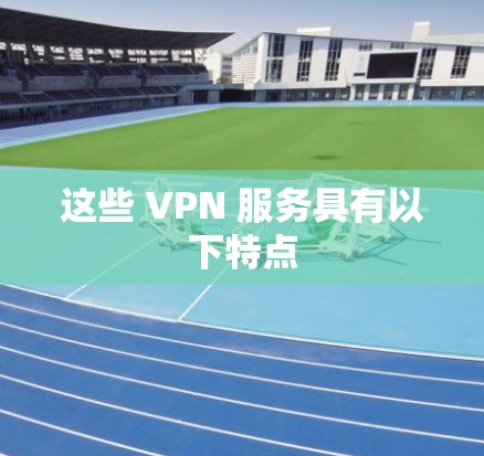 这些 VPN 服务具有以下特点