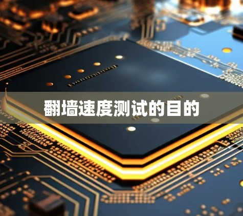 翻墙速度测试的目的 翻墙速度测试的目的