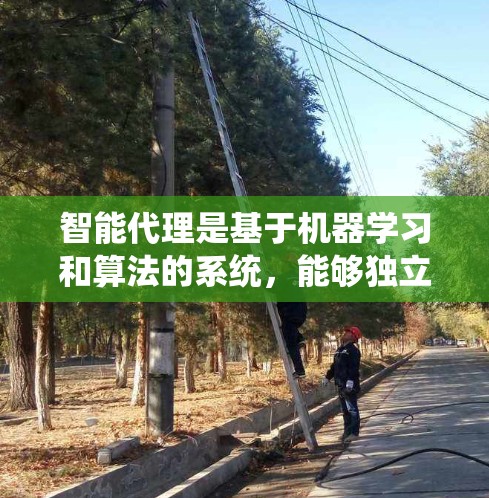 智能代理是基于机器学习和算法的系统,能够独立学习并执行复杂任务,如游戏和机器人控制。以下是其详细分析