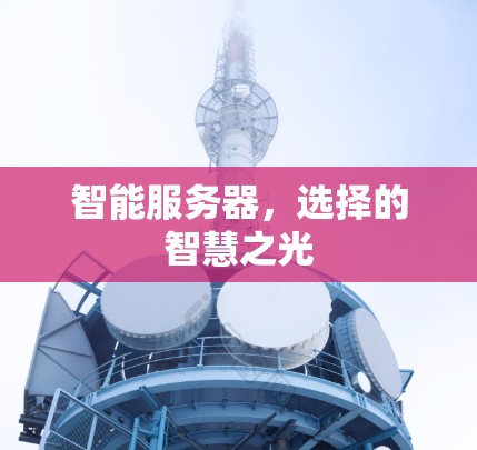 智能服务器，选择的智慧之光
