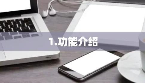 1.功能介绍 1.功能介绍