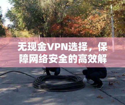 无现金VPN选择，保障网络安全的高效解决方案