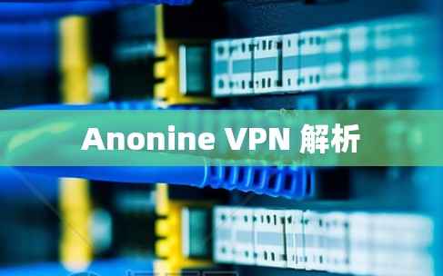 Anonine VPN 解析