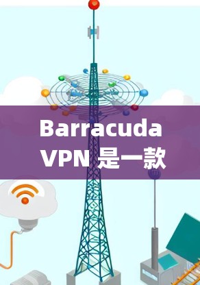 Barracuda VPN 是一款基于 OpenVPN 核心协议的网络防护工具,旨在提供安全、高效、易用的VPN服务。以下是对其网络防护的详细分析