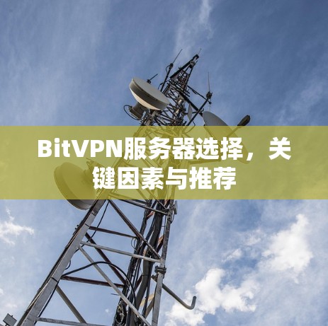 Bit<strong>VPN</strong>服务器选择，关键因素与推荐